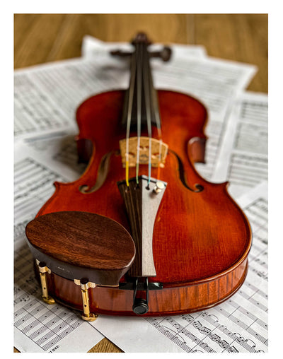 Gordon Chinrest Violin 4/4 in Rosewood, ZK-1573G