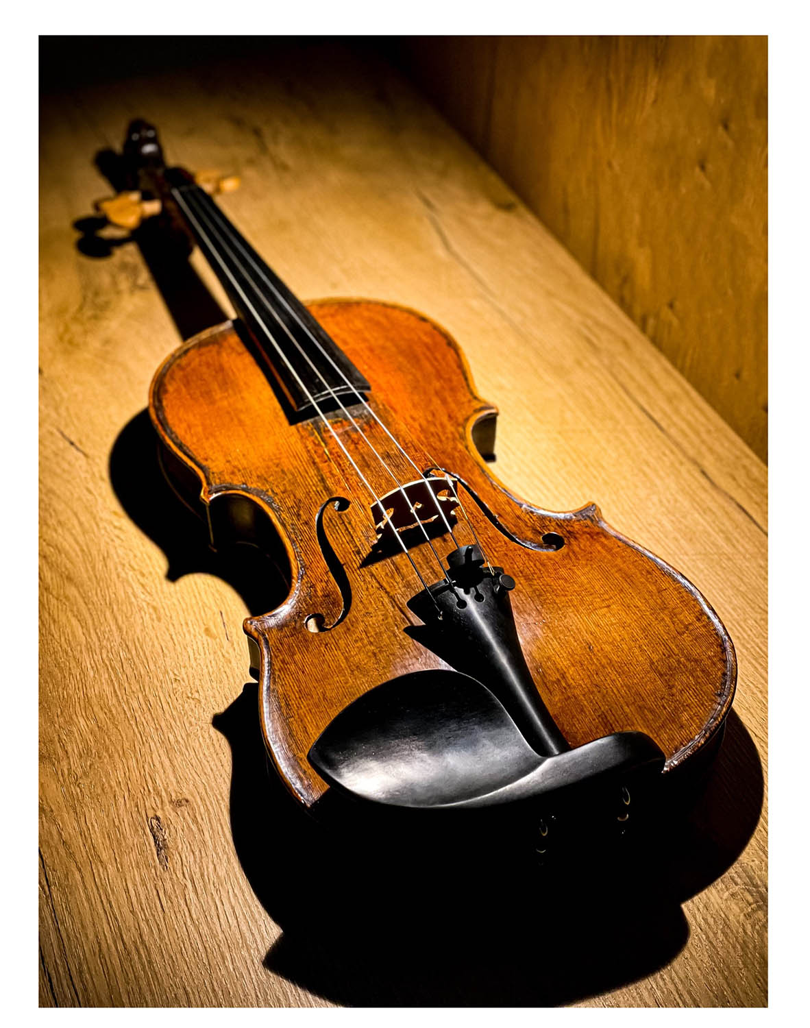 Guarneri Kinnhalter Violine Ebenholz, ZK-4258