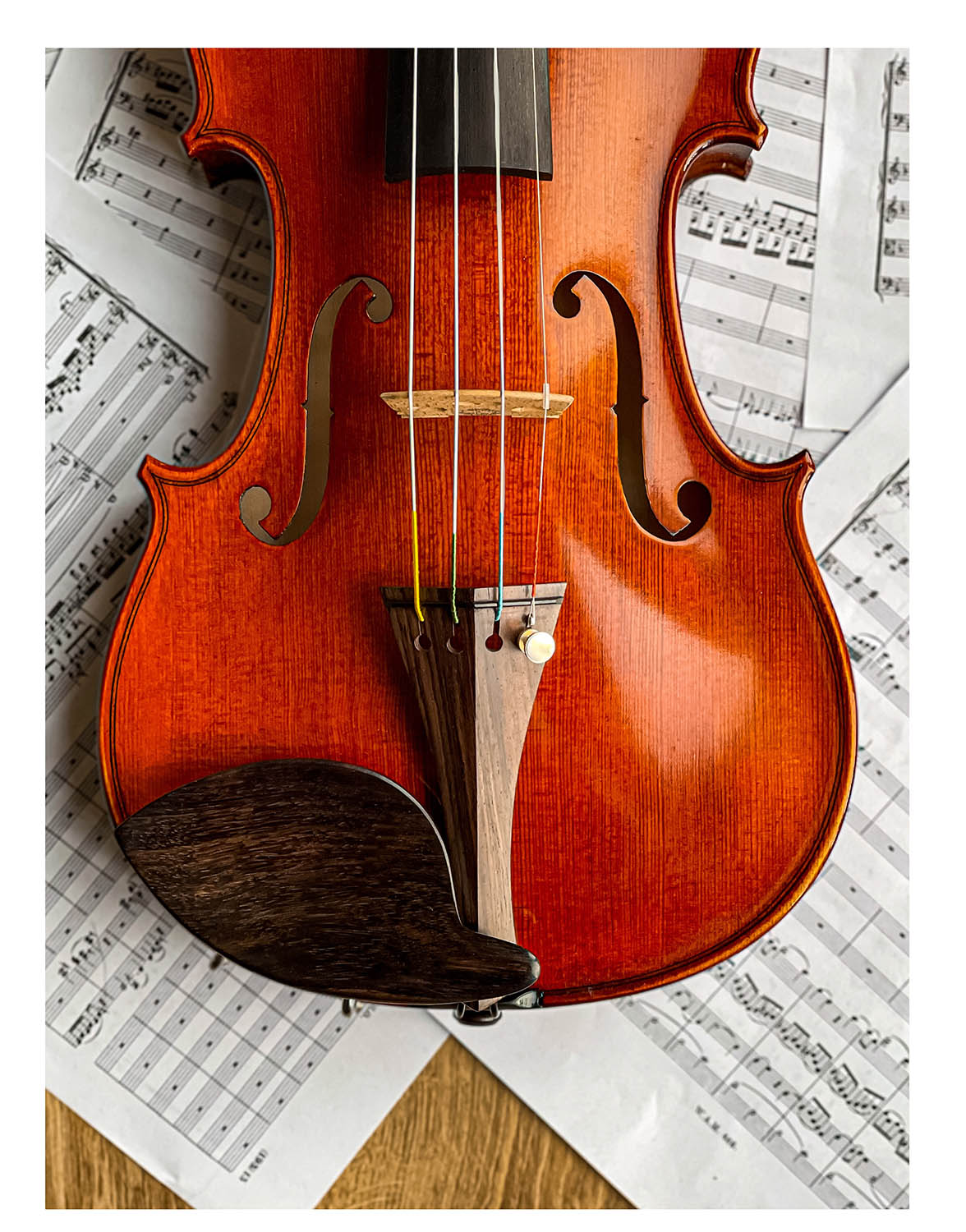 Morawetz Chinrest Violin 4/4 in Rosewood, ZK-4841R-MED 