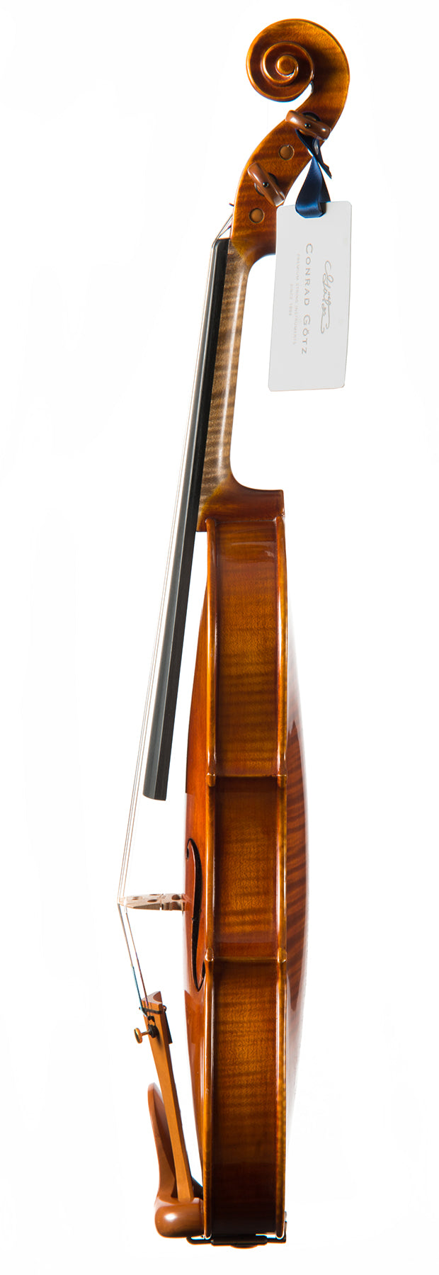 CANTONATE Violine #115 CA