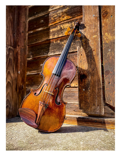 Tailpiece Violin in Rosewood, ZA-5148-112/115