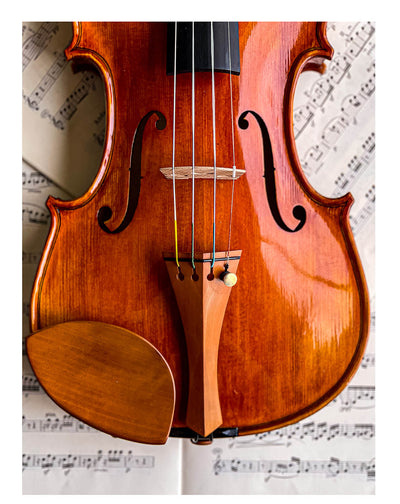 Kaufmann Kinnhalter Violine Buchsbaum, ZK-1591G