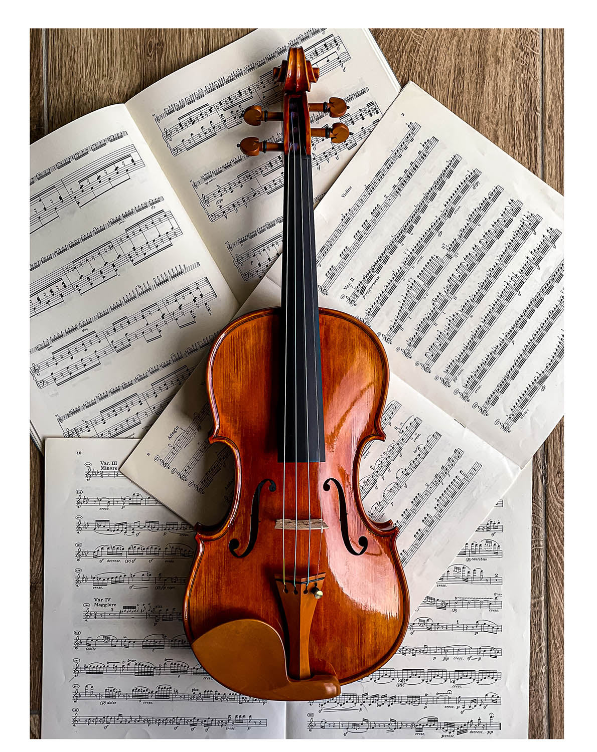 Guarneri Chinrest Violin 4/4 in Boxwood, ZK-1597 