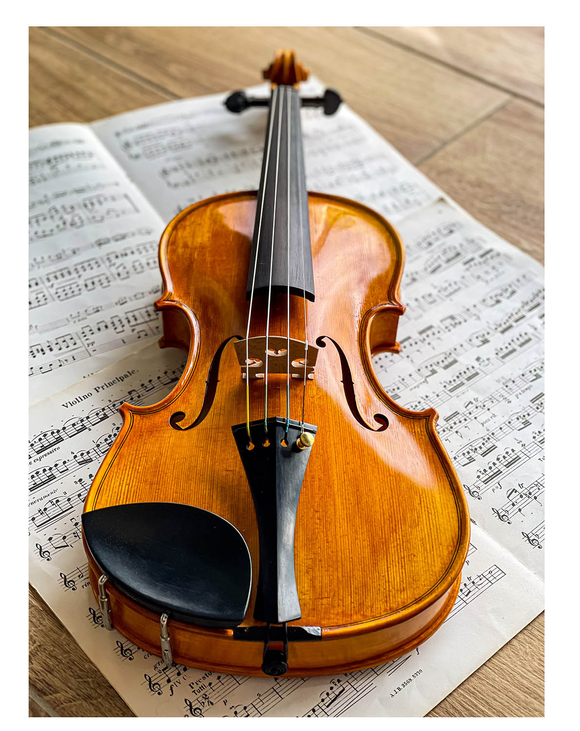 Slim Style Chinrest Violin 4/4 in Ebony, ZK-256