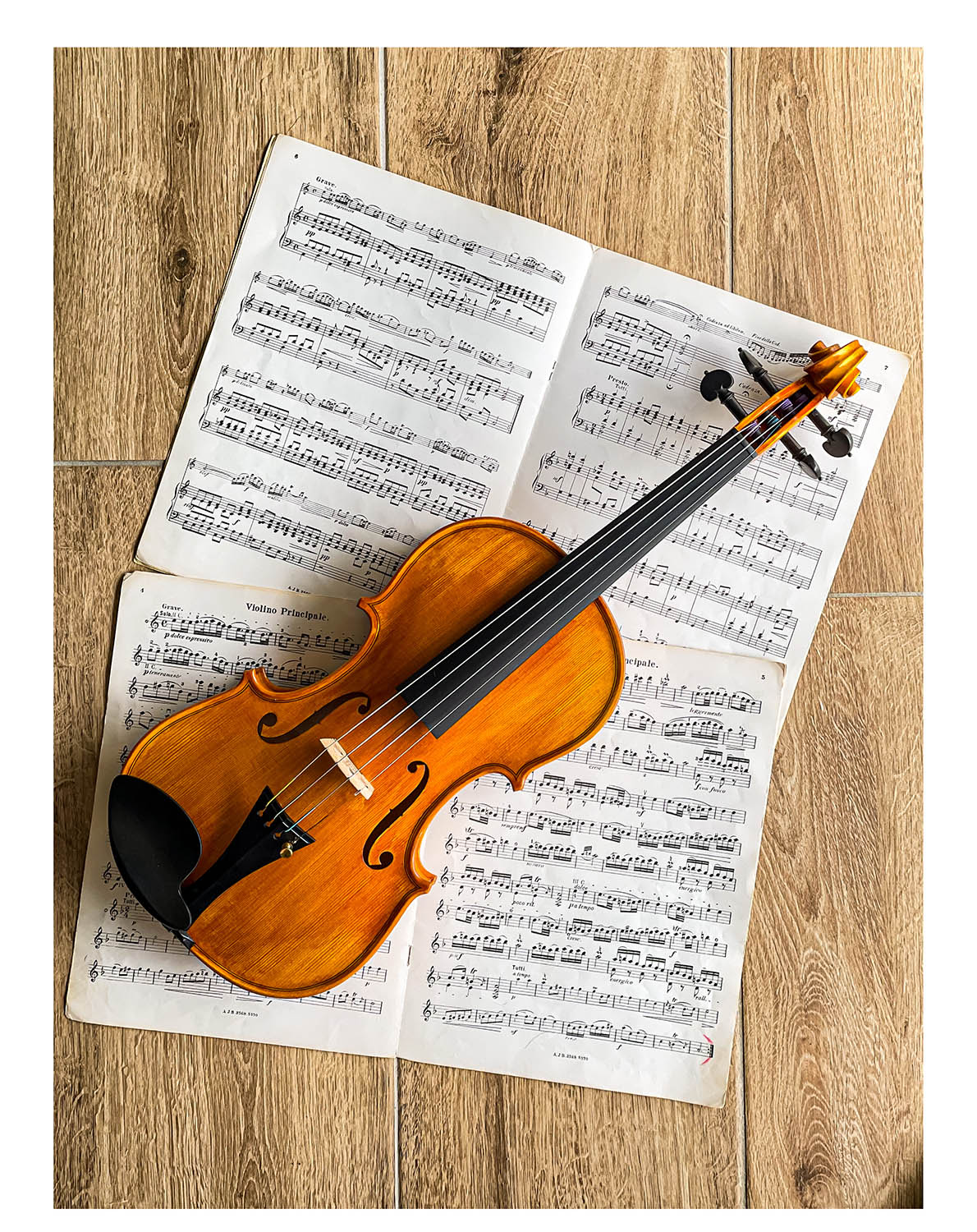 Hamburg Chinrest Violin 4/4 in Ebony, ZK-4253