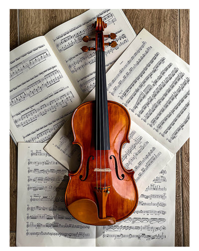 Guarneri Chinrest Violin 4/4 in Boxwood, ZK-4259