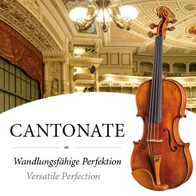 Cantonate Violine