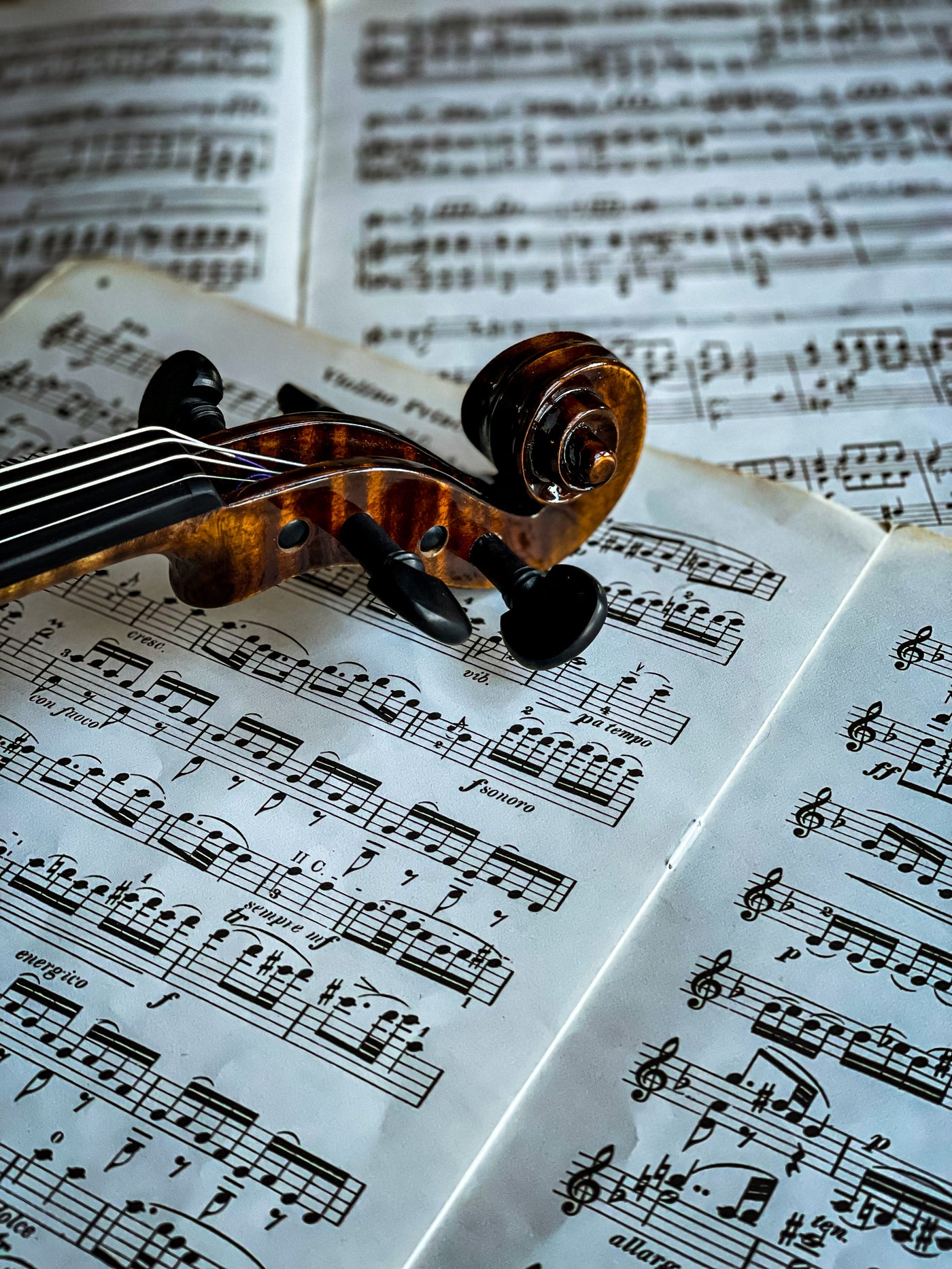 BOHEMIA Violin #110 BO