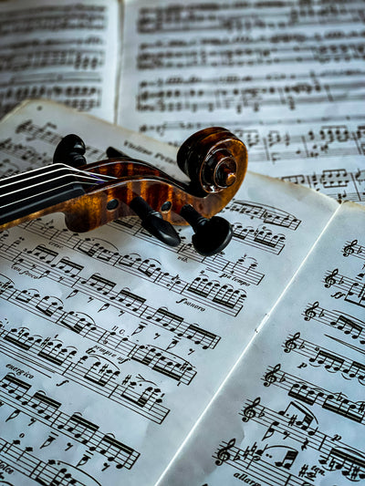 BOHEMIA Violin #110 BO