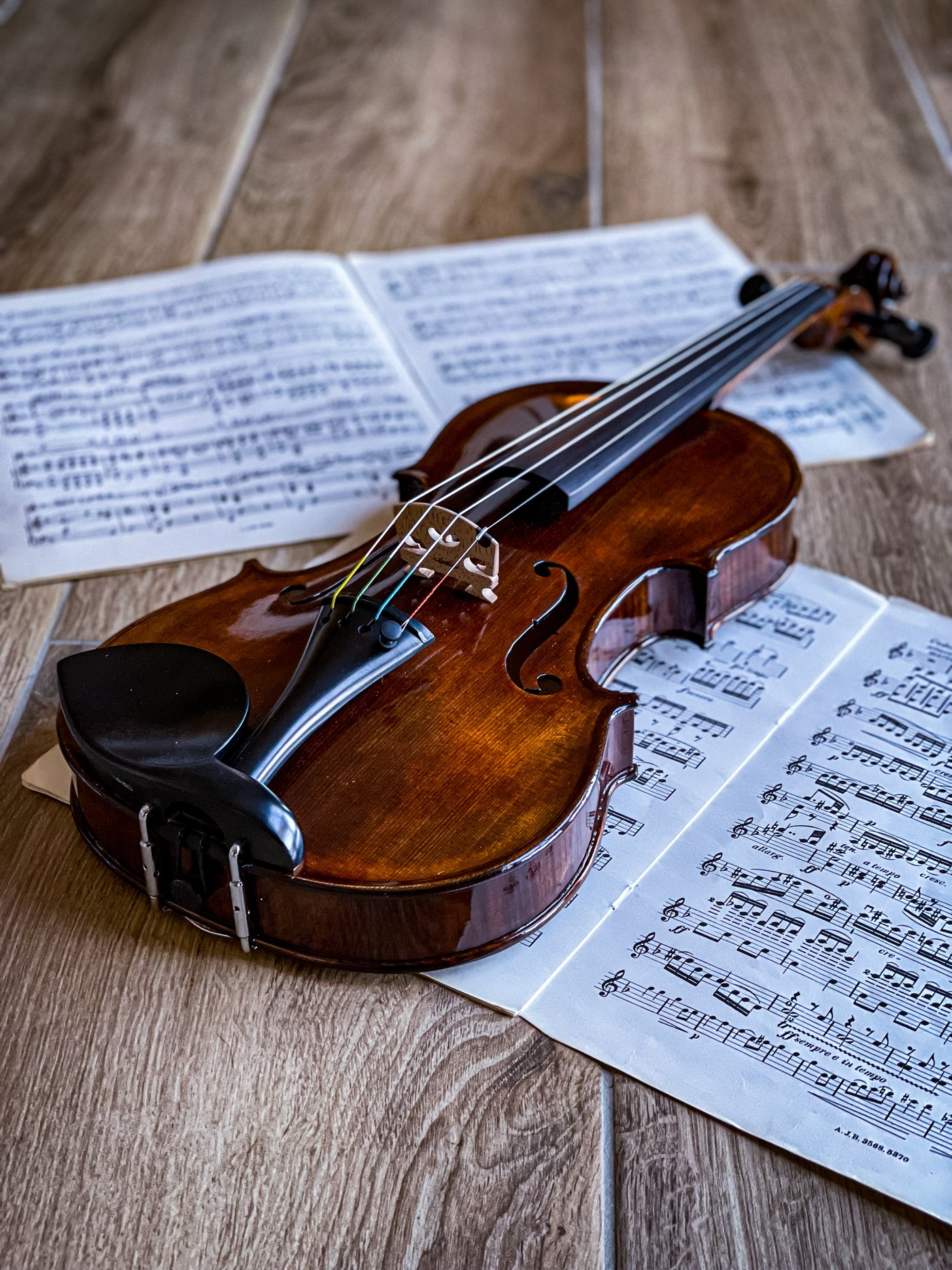 BOHEMIA Violin #110 BO