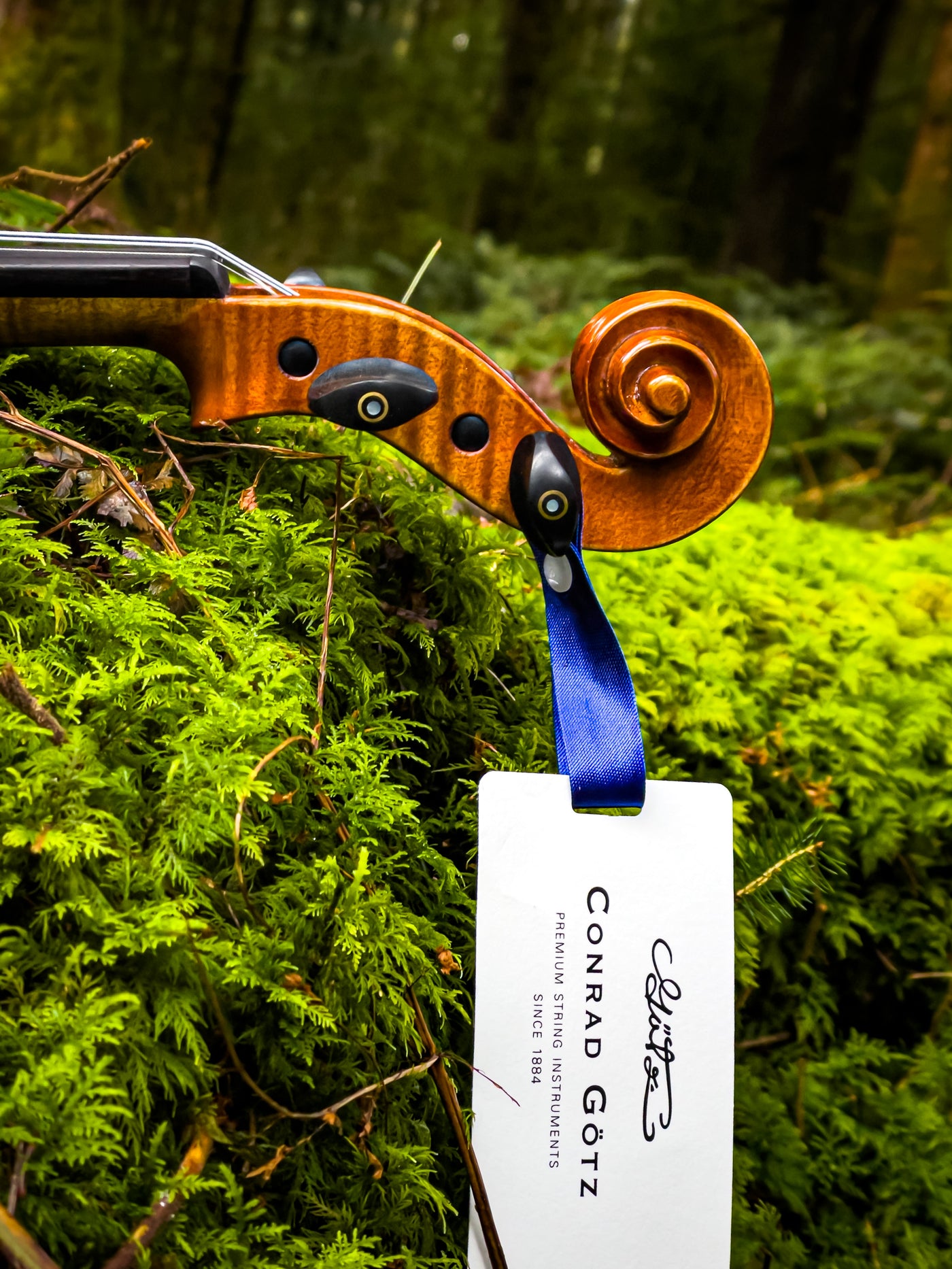 METROPOL Violin #136 MET