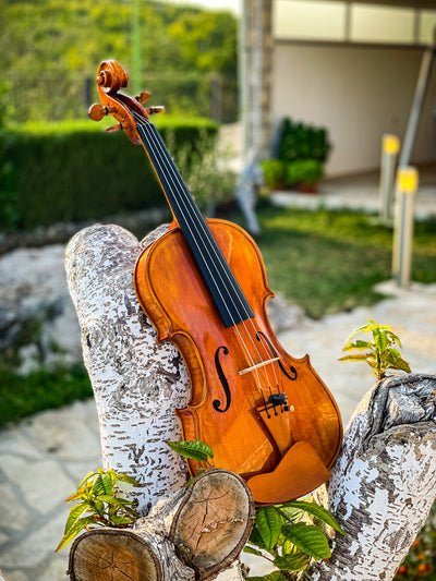 CANTONATE Violine #140 CA