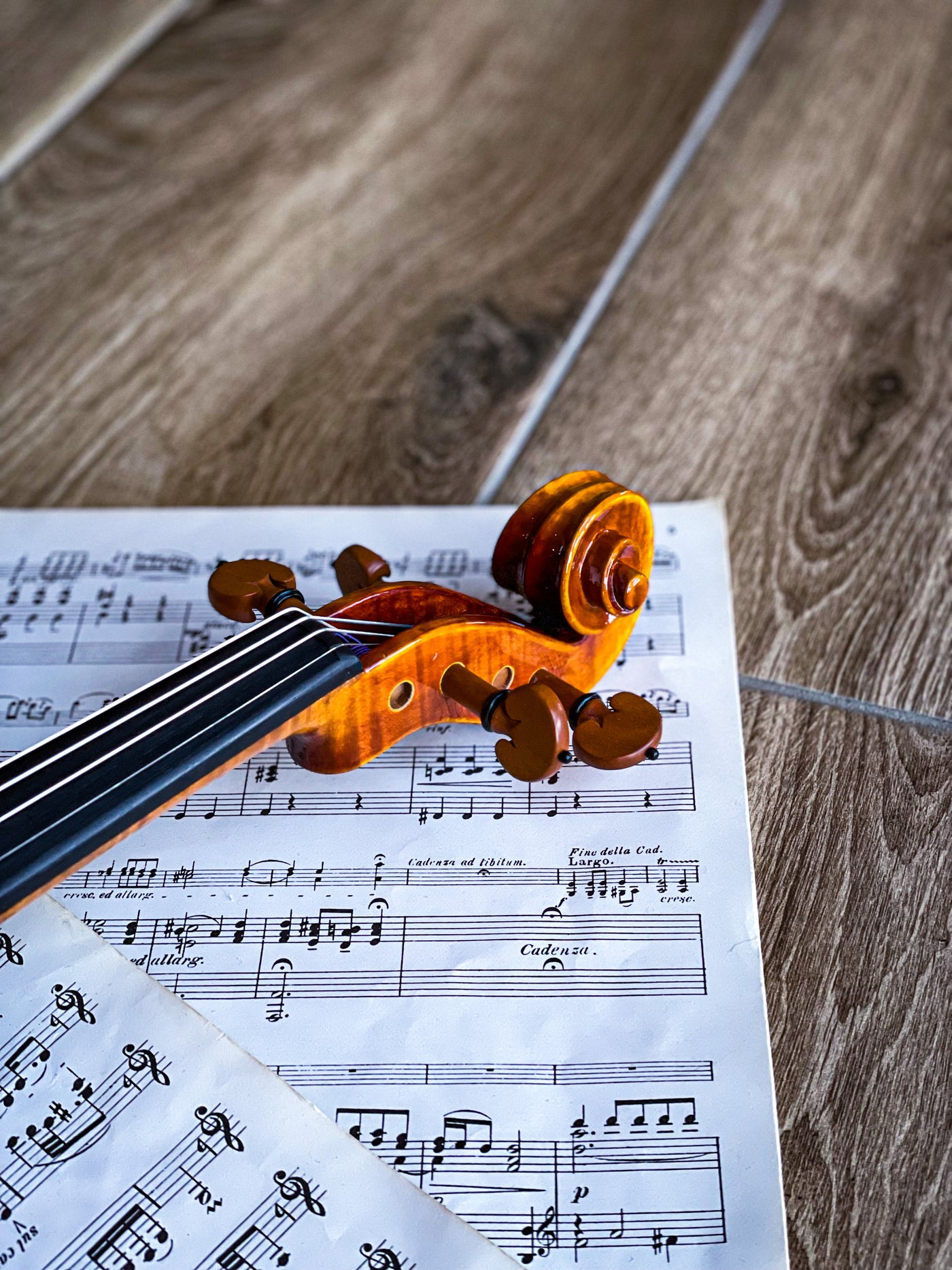 CANTONATE Violine #130 CA