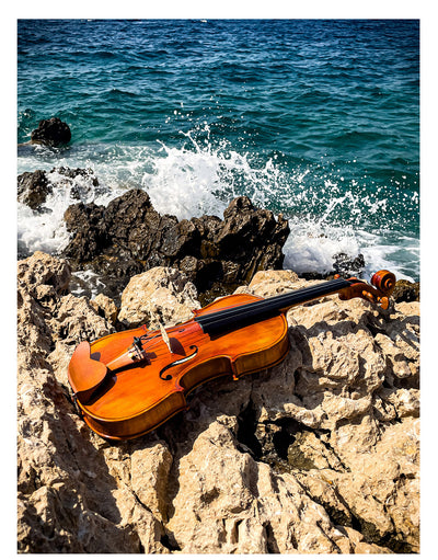 CANTONATE Violin #125F CA