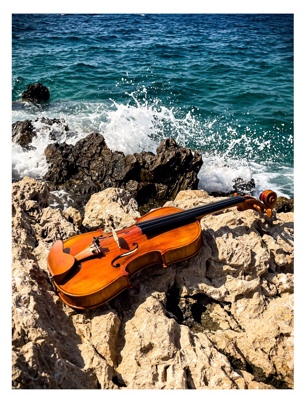 CANTONATE Violine #130 CA
