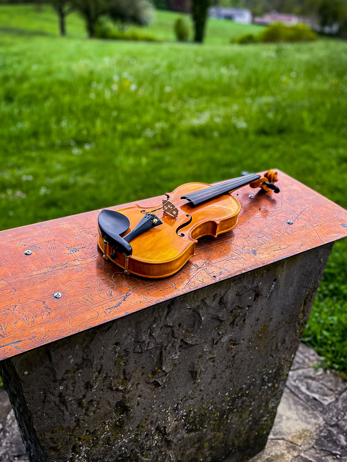 GOLDEN STATE Violin #140 GS