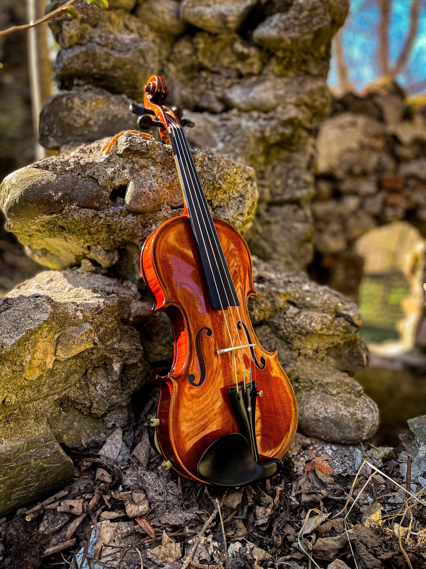 GOLDEN STATE Violin #136 GS