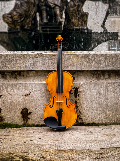 GOLDEN STATE Violin #136 GS