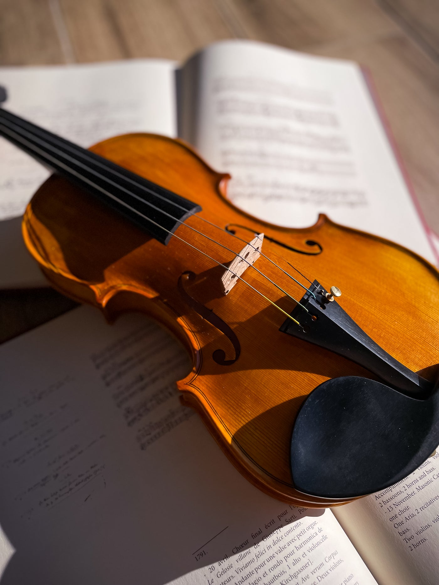 GOLDEN STATE Violin #136 GS