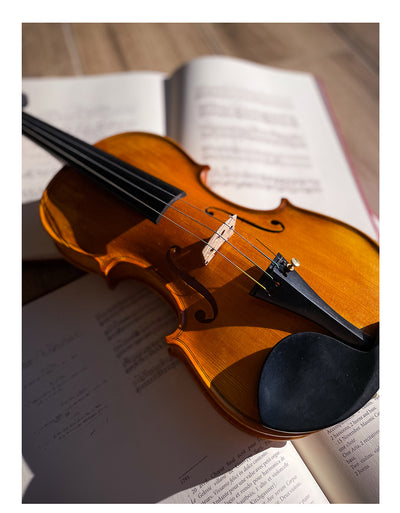 GOLDEN STATE Violin #130 GS