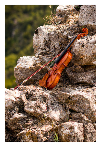 CANTONATE Violine #136 CA