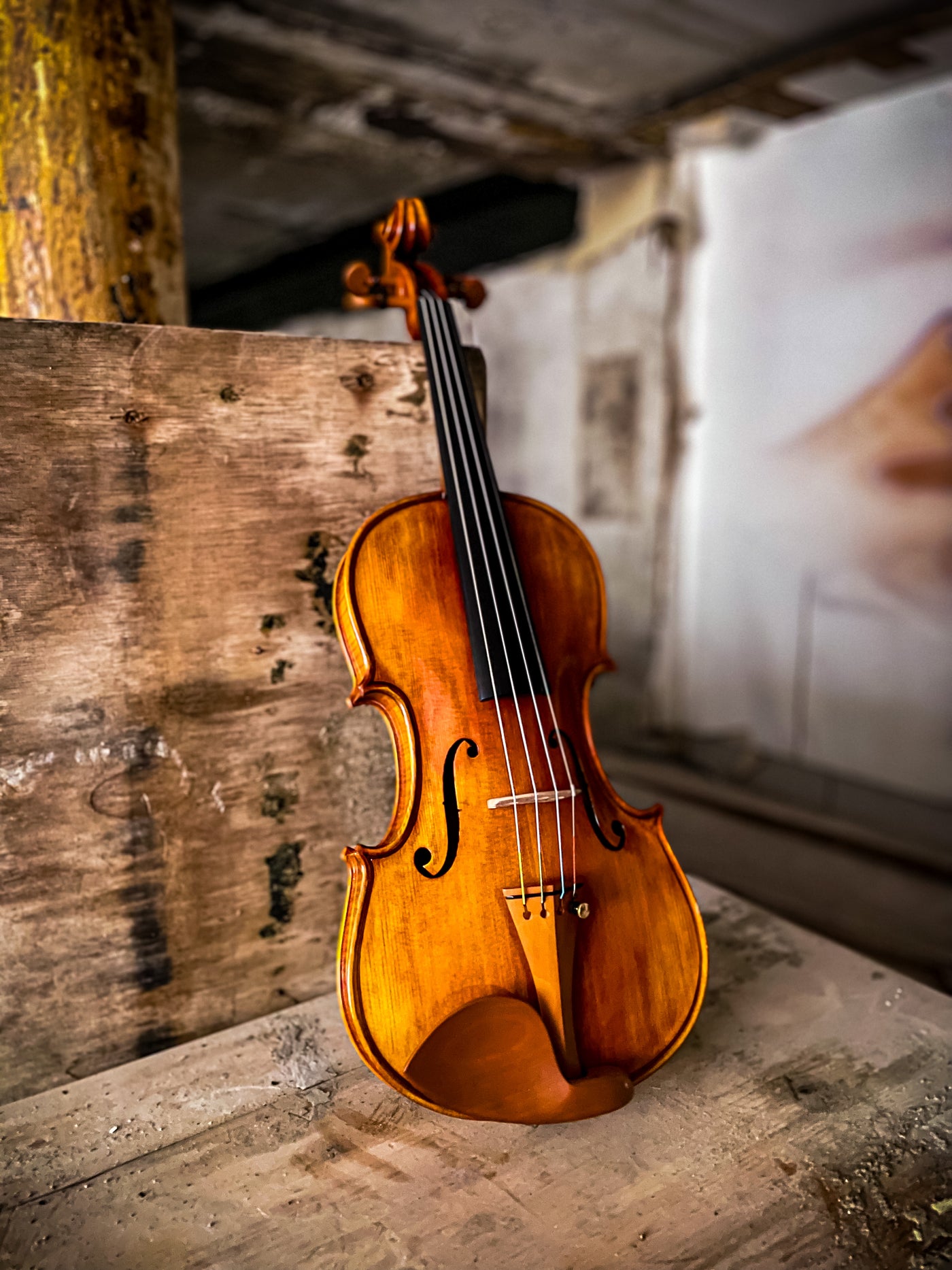 CANTONATE Violine #130 CA