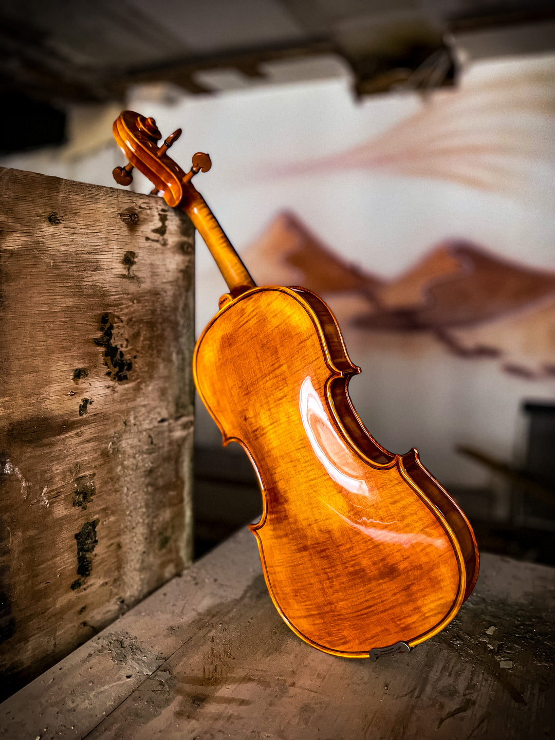 CANTONATE Violin-series – The Conrad Goetz Original Brand Studio