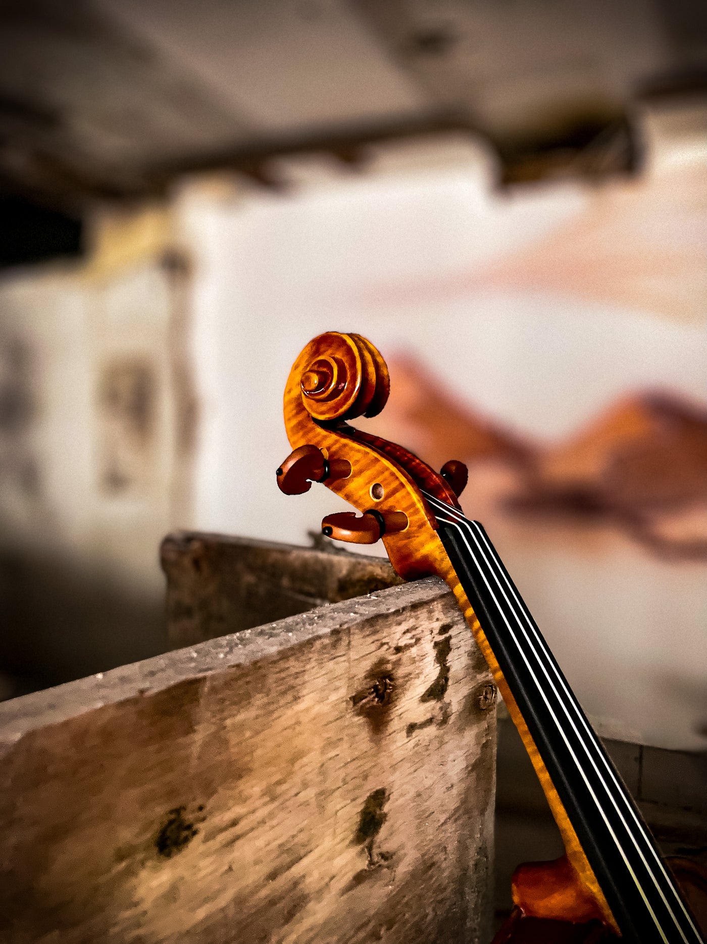 CANTONATE Violine #140 CA