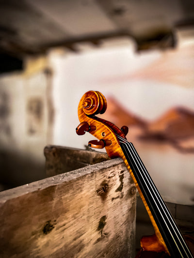 CANTONATE Violine #140 CA