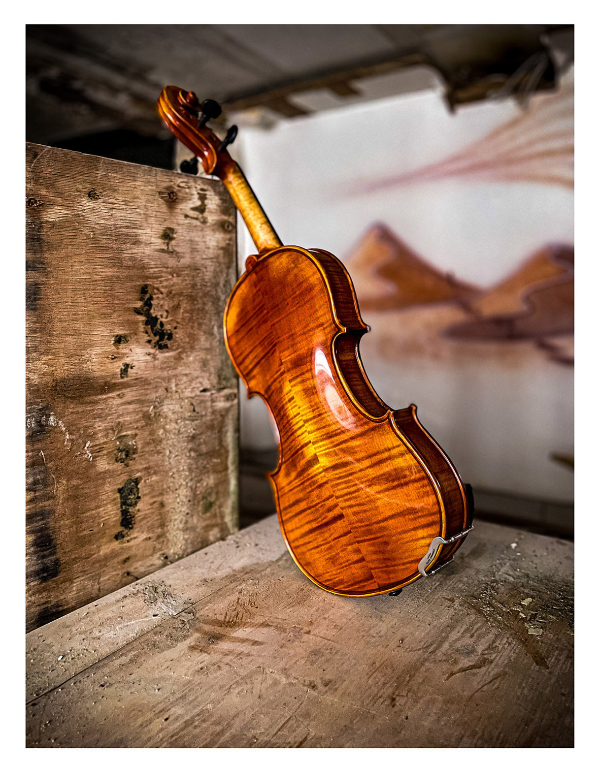 CONTEMPORARY Violine #123 CT