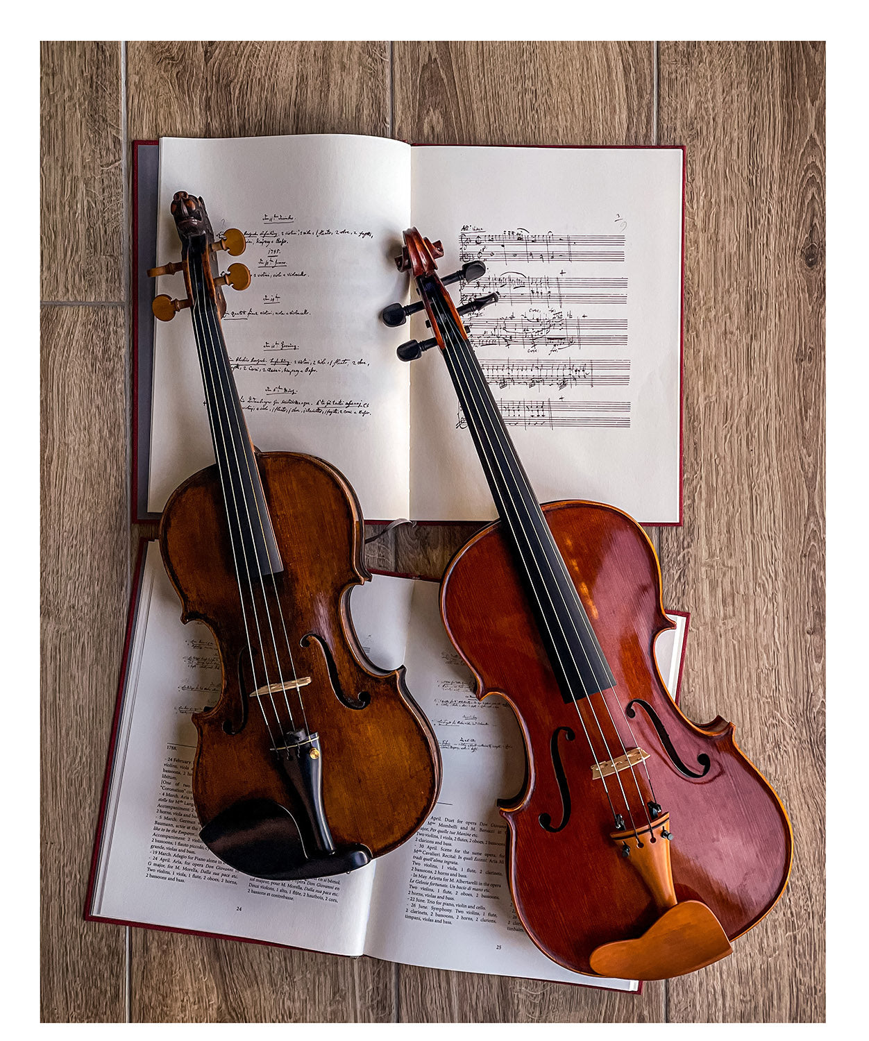 Guarneri Kinnhalter Violine Ebenholz, ZK-1596