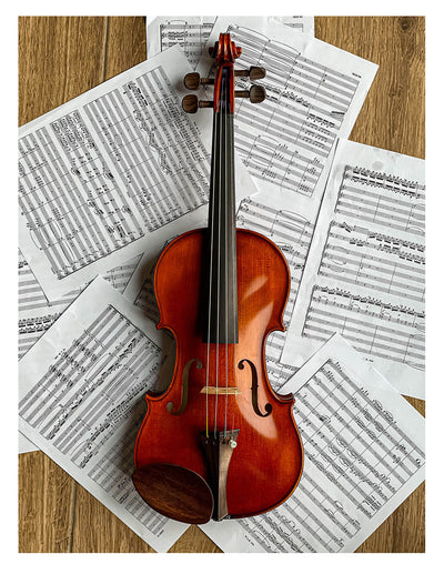 Gordon Kinnhalter Violine Palisander, ZK-1573G