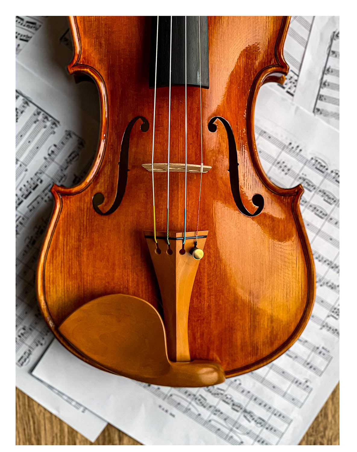 Stradivari Kinnhalter Violine Buchsbaum, ZK-305