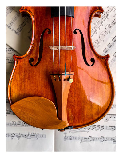 Morawetz Chinrest Violin 4/4 in Boxwood, ZK-4841B-MED