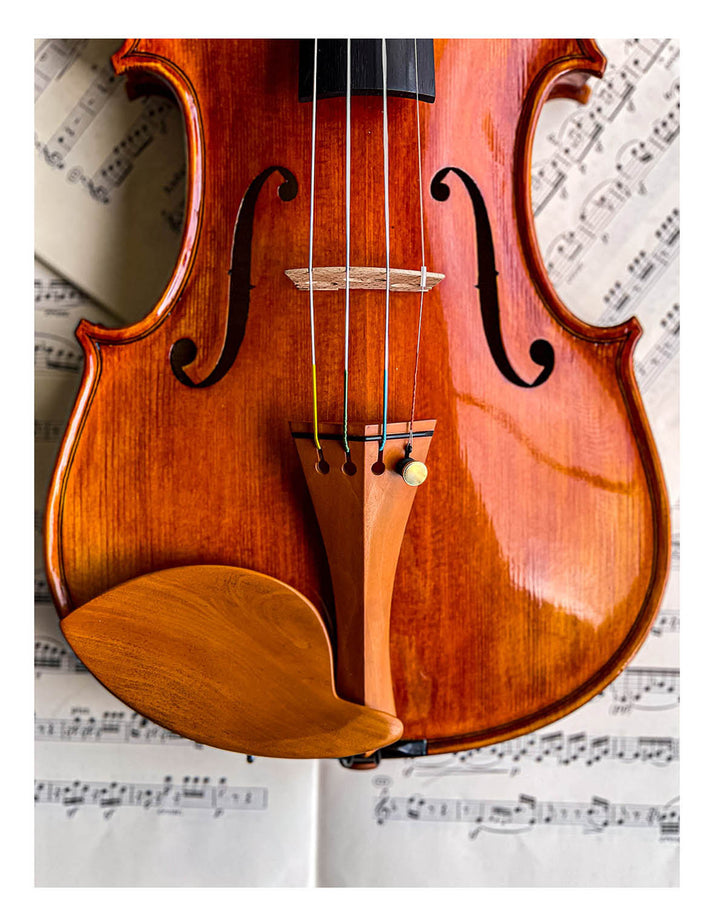 Morawetz Chinrest Violin 4/4 in Boxwood, ZK-4841B-MED – The Conrad