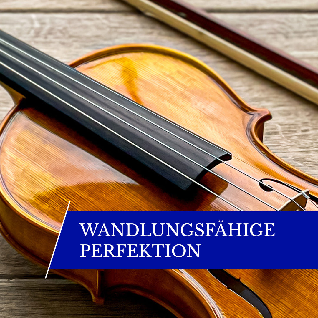Conrad Götz Violins and Accessories for Stringed Instruments
