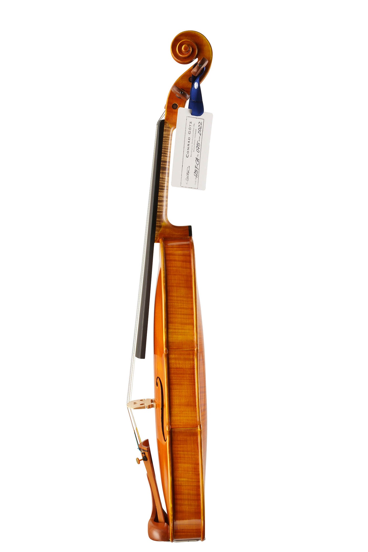 CANTONATE Violin #125F CA