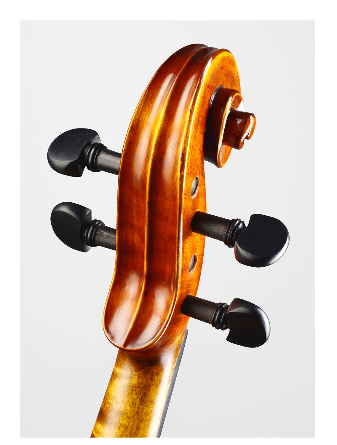 ❤ CONTEMPORARY Violin with a one-piece-maple back #125F CT 
