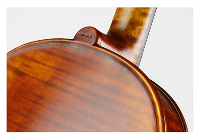 ❤ CONTEMPORARY Violin with a one-piece-maple back #125F CT 