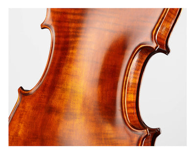 ❤ CONTEMPORARY Violin with a one-piece-maple back #125F CT 