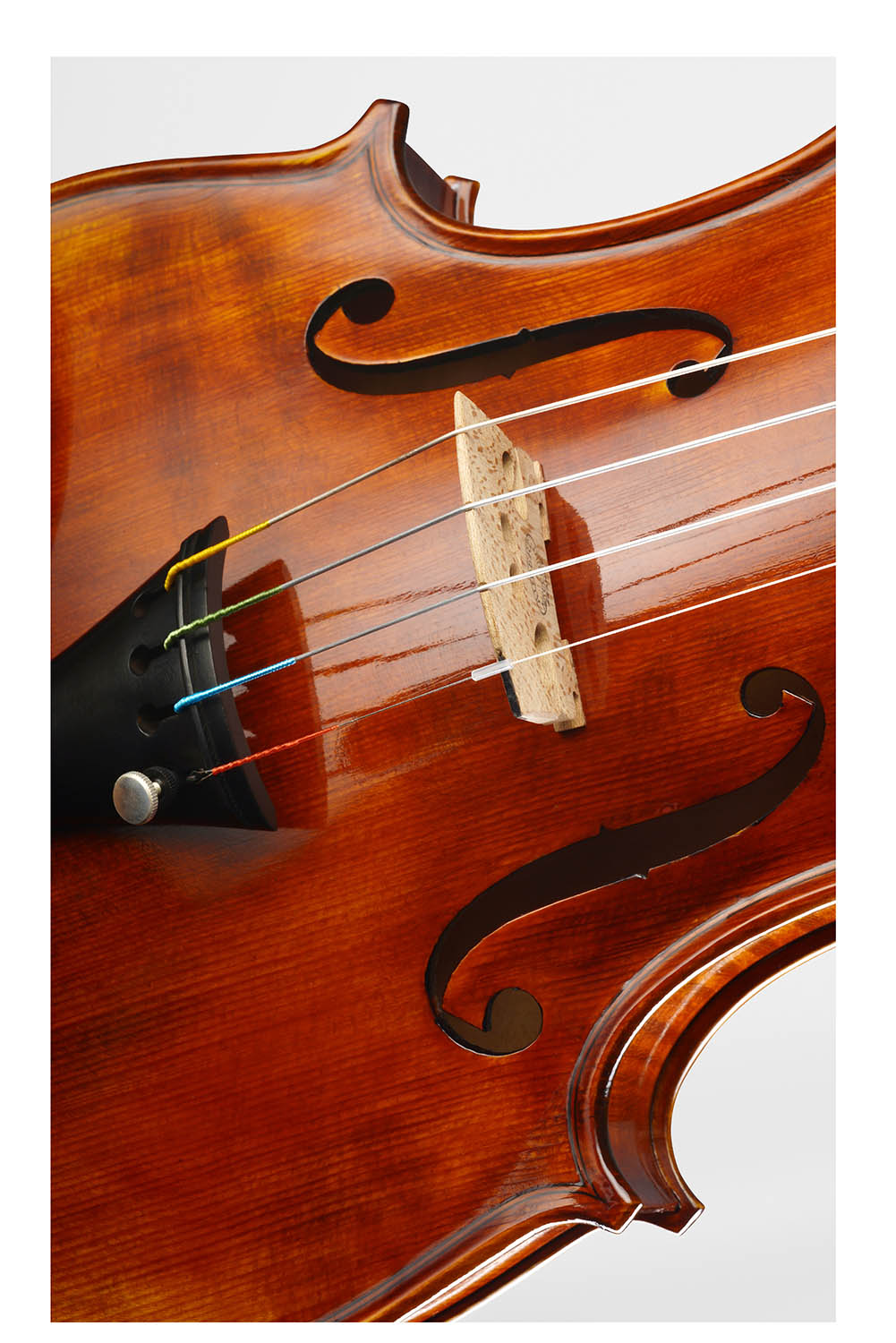 ❤ CONTEMPORARY Violin with a one-piece-maple back #125F CT 