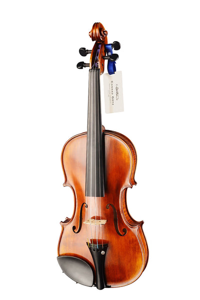 ❤ CONTEMPORARY Violin with a one-piece-maple back #125F CT 