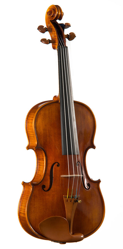 CANTONATE Violine #115 CA