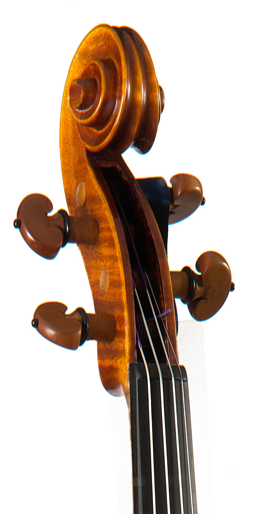 美品●Conrad A Götz●115 バイオリン 4/4 1983年ドイツ製 METROPOL Violin #115 MET – The Conrad Goetz Original Brand