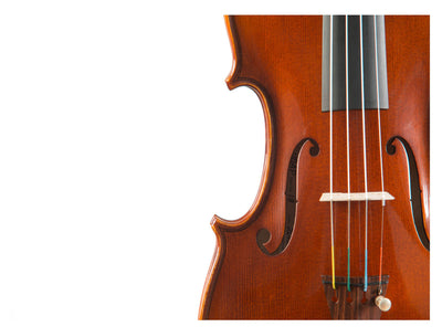 AGAPE Violin #110 AP 