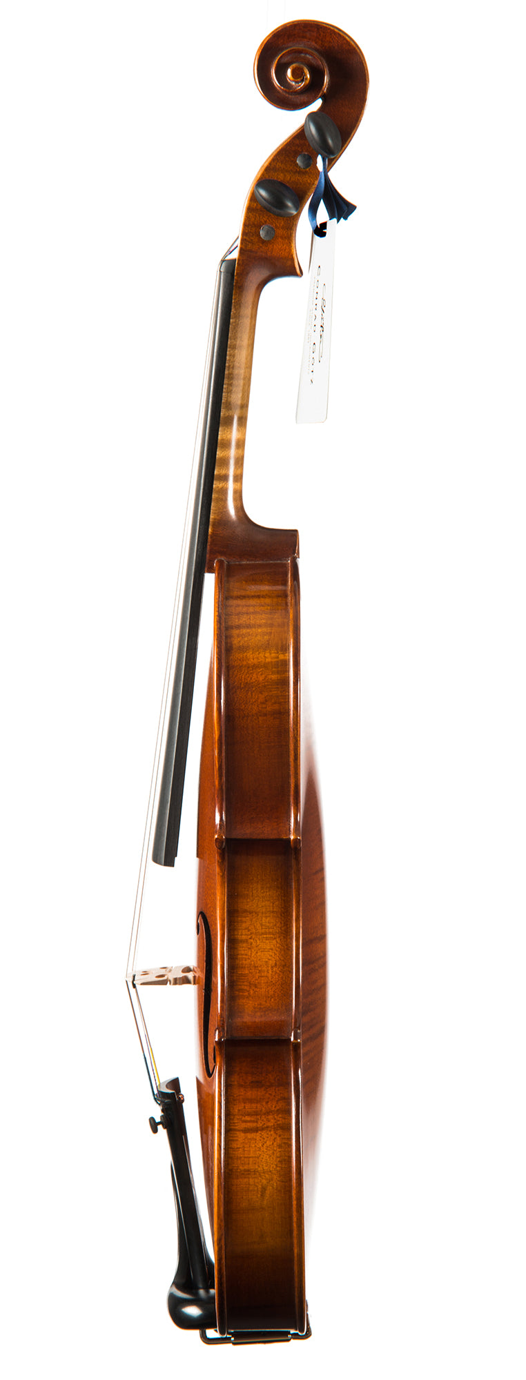 AUDITION Violine #98 AD