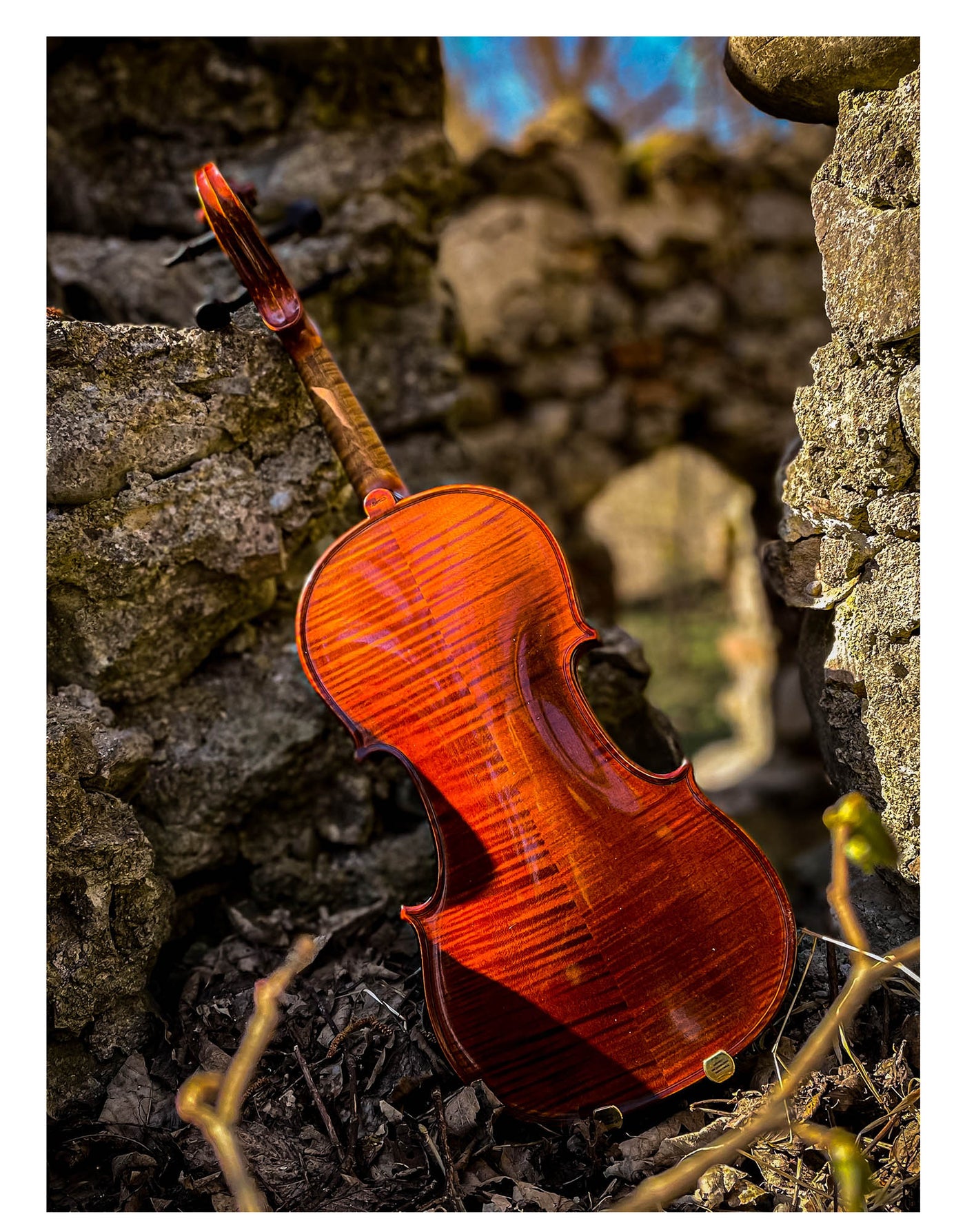 METROPOL Violine #108 MET