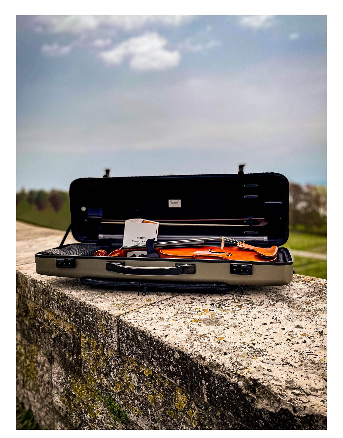 CANTONATE Violin #125F CA
