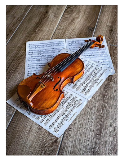 CANTONATE Violin #125F CA