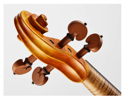 CANTONATE Violin #125F CA